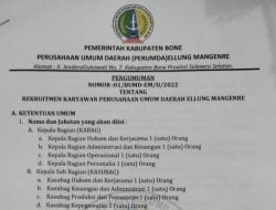 Perumda Ellung Mangenre Bone Buka Lowongan Pekerjaan, Ini Posisi dan Syaratnya