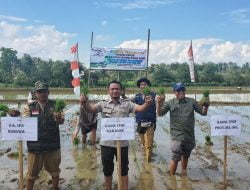 Andi Asman Sulaiman Tingkatkan Pengetahuan dan Keterampilan Petani di Bone dengan Program Demfarm