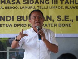 Kakak Gubernur Sulsel Kunjungi Pelosok Bone di Perbatasan: Saya Ingin Lihat Kondisi Petani