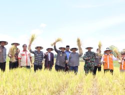 Bupati Wajo Ajak Petani Terapkan Pola Pertanian Terpadu untuk Tingkatkan Produksi