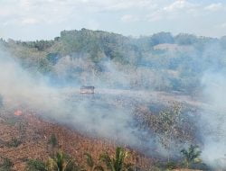 Kesigapan Damkar, TNI, Polri, dan Warga Cegah Karhutla di Desa Mamminasae