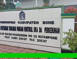 Penyuluh Pertanian Bone dimanfaatkan Salah satu Balon Pasang Baliho .