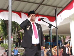 Pesan Inspiratif Wabup Wajo dr Baso Rahmanuddin Saat Peringati Hari Pahlawan